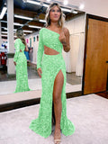 Green Blue 41 Mermaid One Shoulder Long Sleeves Long Sweep Train Velvet Sequin Prom Dress (AF1006)