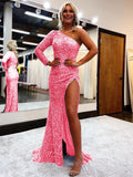 Pink 46 Sheath One Shoulder Long Sleeves Long Sweep Train Velvet Sequin Prom Dress (AF1002)