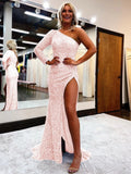 Pink Sheath One Shoulder Long Sleeves Long Sweep Train Velvet Sequin Prom Dress (AF1002)