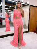 Pink 46 Mermaid One Shoulder Long Sleeves Long Sweep Train Velvet Sequin Prom Dress (AF1006)