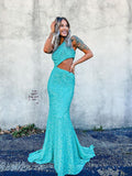 Mermaid One Shoulder Sleeveless Long Sweep Train Velvet Sequin Prom Dress (AF1055)