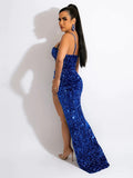 Royal Blue Sheath Spaghetti Straps Sleeveless Long Sweep Train Velvet Sequin Prom Dress (AF1054)