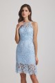 Lace Halter Spaghetti Straps Short Bridesmaid Dresses